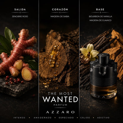 THE MOST WANTED PARFUM