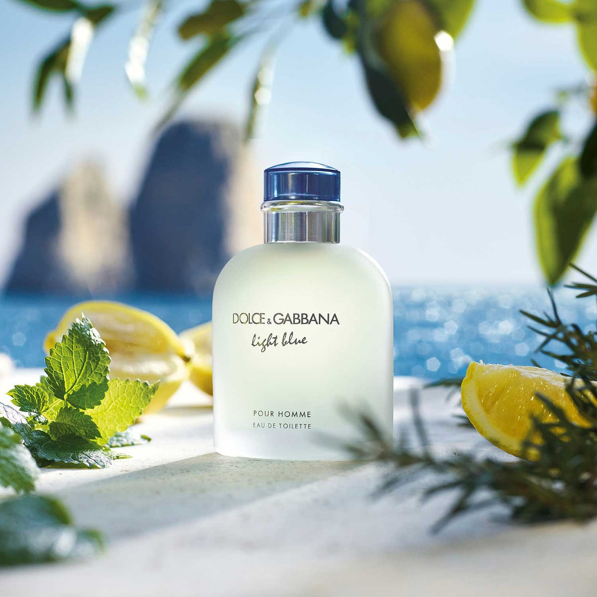 Dolce & Gabbana Light Blue Pour Homme Eau de Toilette