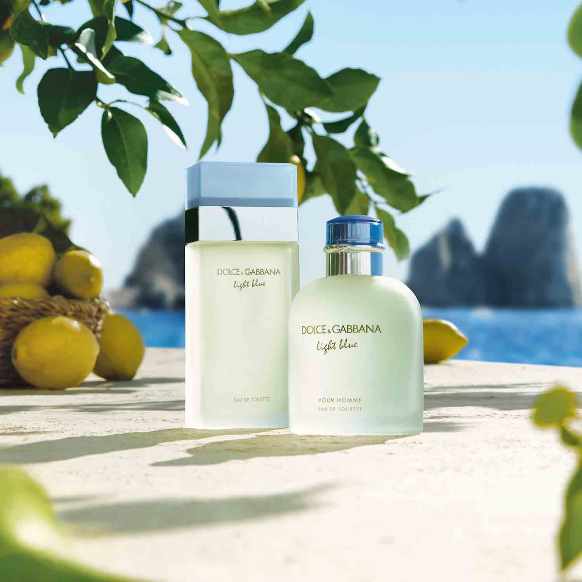Dolce & Gabbana Light Blue Pour Homme Eau de Toilette