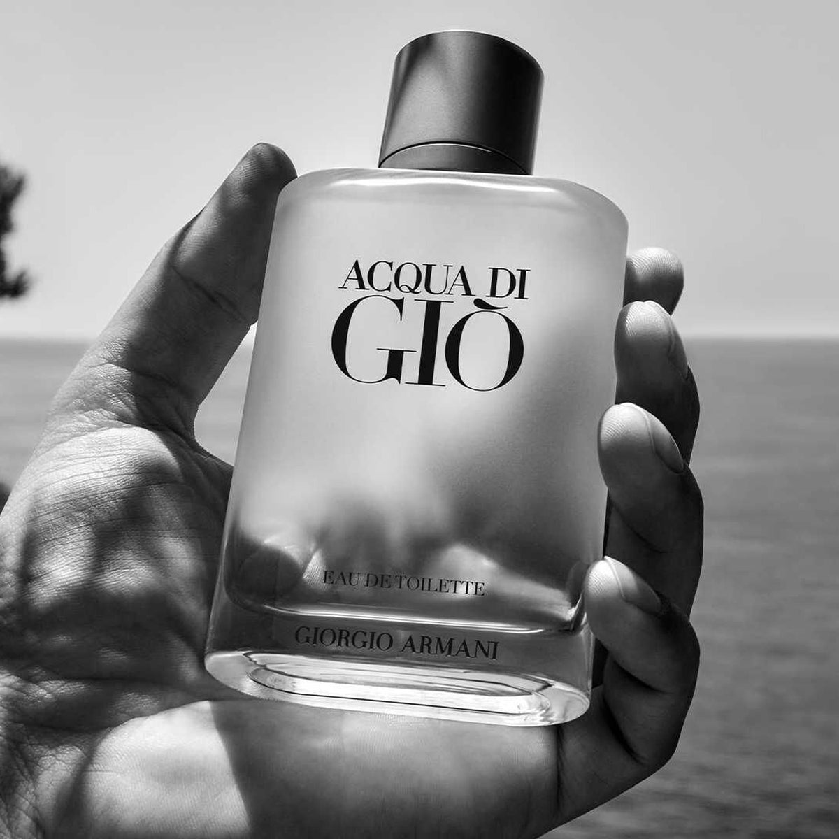 Giorgio Armani Acqua di Gio Homme Eau de Toilette