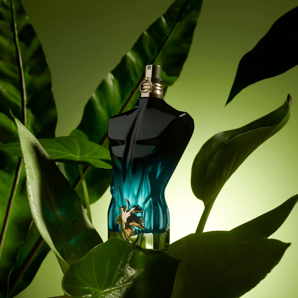 Jean Paul Gaultier Le Beau Le Parfum